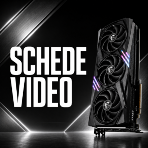Schede video