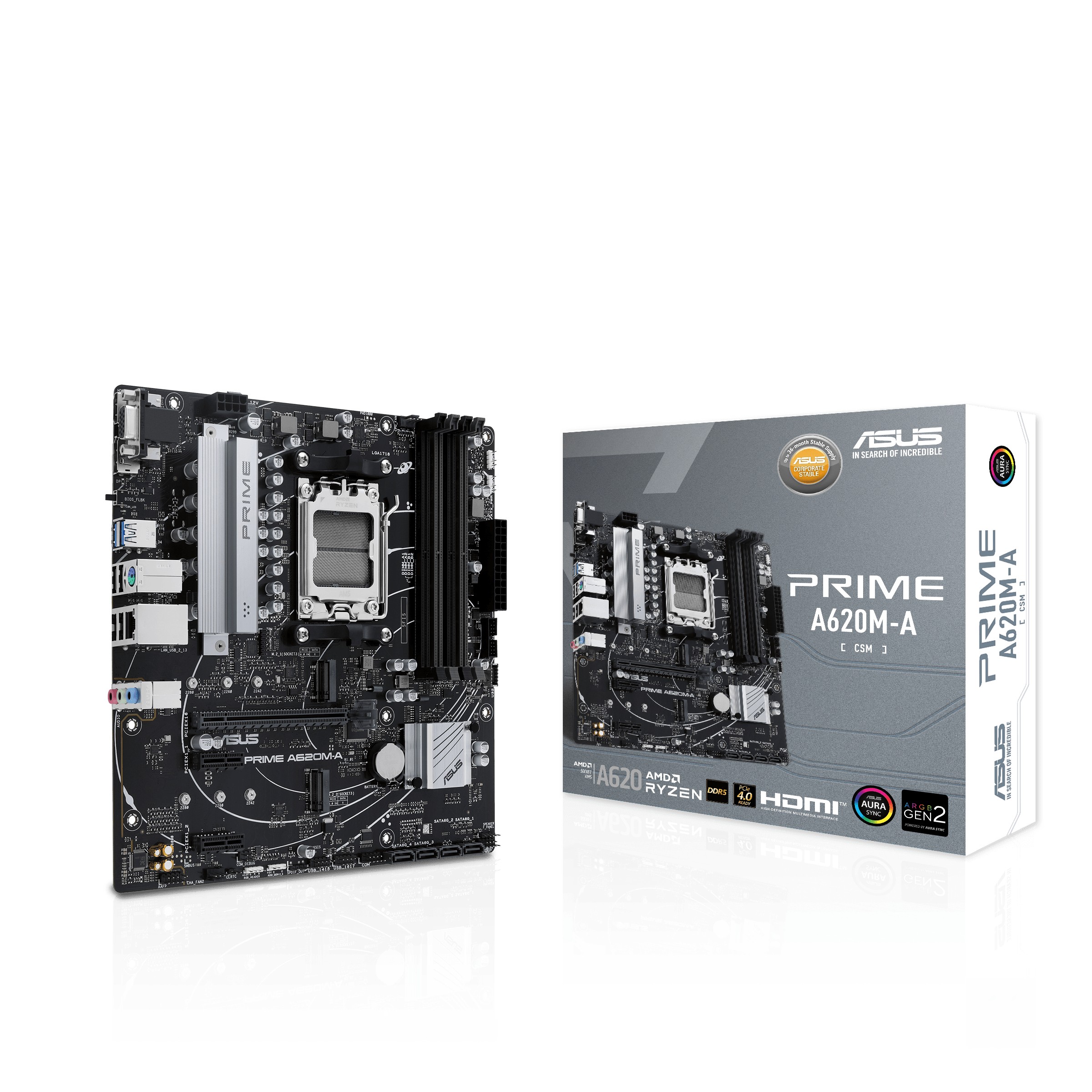 Scheda Madre ASUS PRIME A620M-A-CSM socket AM5 Scheda Madre ASUS PRIME A620M-A-CSM socket AM5