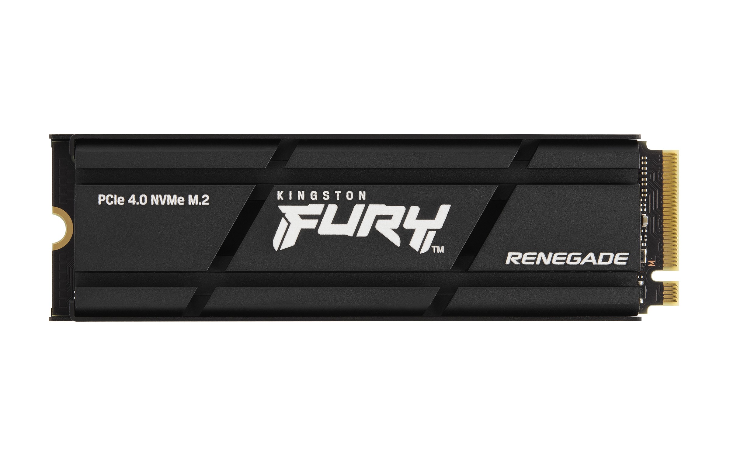 SSD M.2 KINGSTON FURY RENEGADE Con Dissipatore Passivo 1TB SSD M.2 KINGSTON FURY RENEGADE Con Dissipatore Passivo 1TB