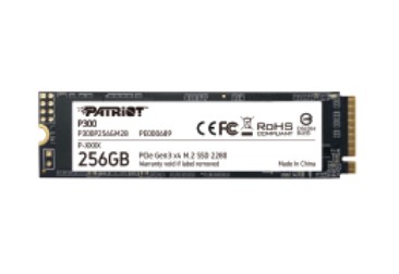 SSD M.2 PATRIOT 300 256GB SSD